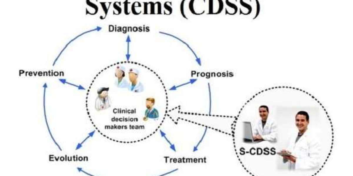 Informed Choices: The Top 10 Clinical Decision Support System Providers