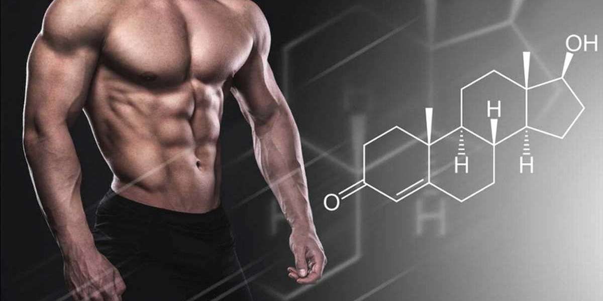 Steroids Online USA: FAQs and Common Concerns