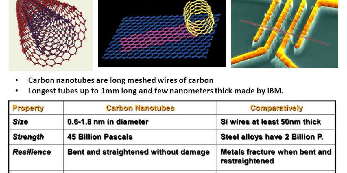 Carbon Nanotube Giants: A Closer Look at Industry Leaders