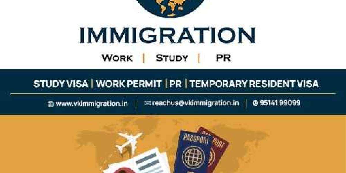 VK Immigration | Best Immigration Consultancy in Chennai