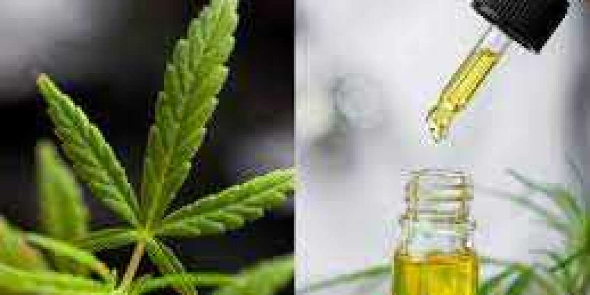 CBD Oil Market Size, Share Analysis, Key Companies, and Forecast To 2030