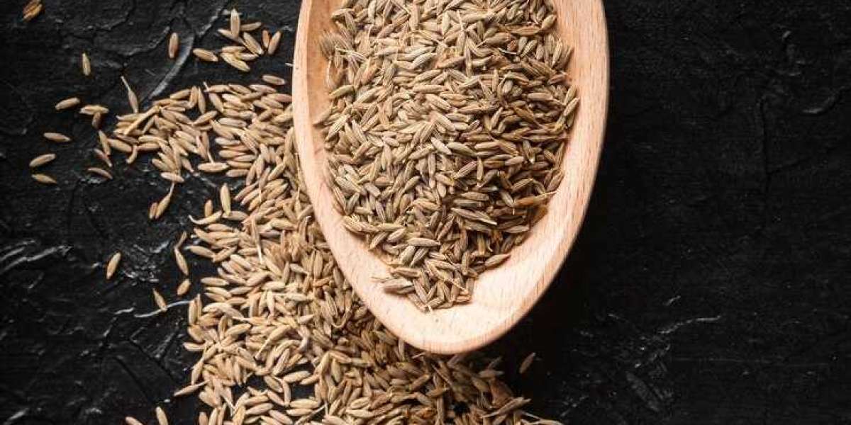 Fennel Seed Powder Market Supply-Demand, Industry Research And End User Analysis And Outlook Till 2033