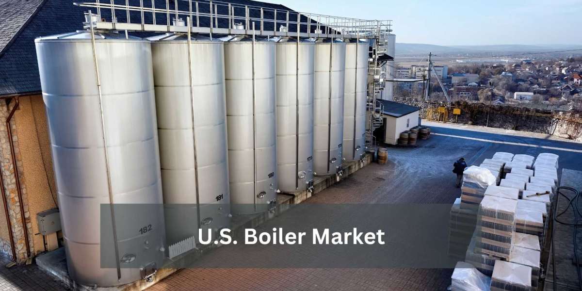 U.S. Boiler Market Examining Market Forces
