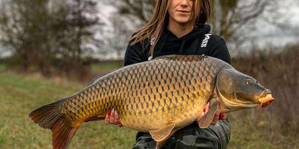 Insider's Guide to Carp Fishing Holiday in France