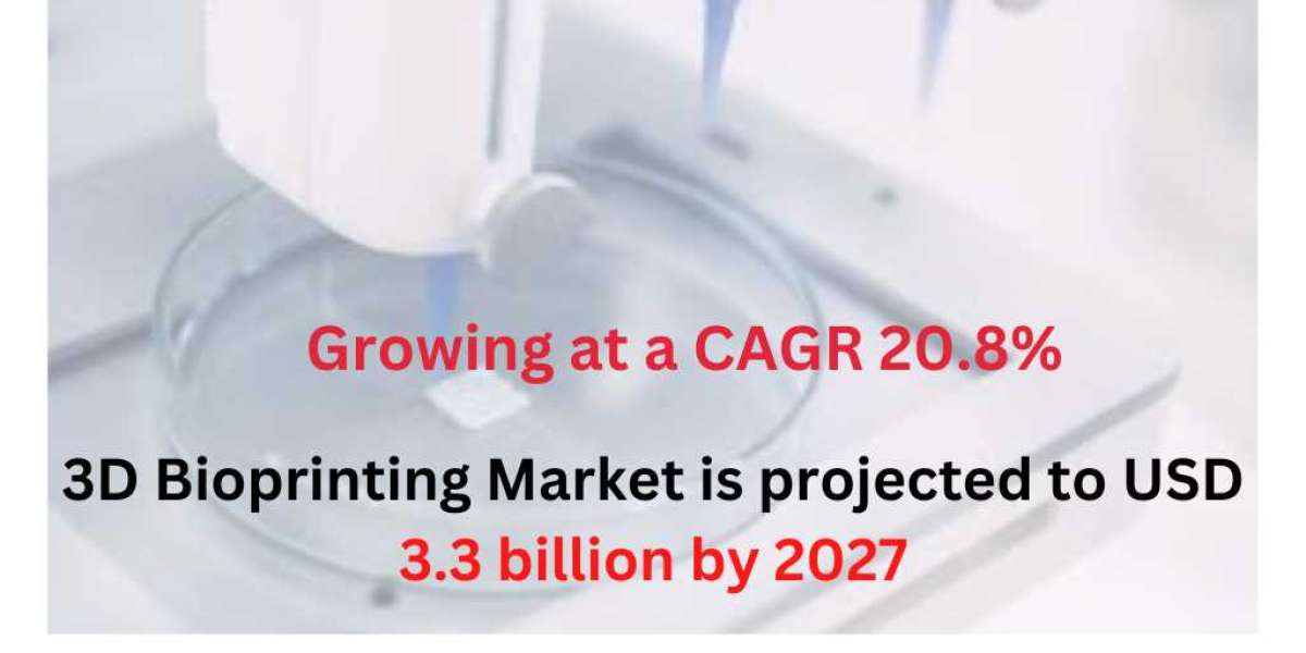 Navigating the Future: 3D Bioprinting Market Report on Size, Trends, Industry Share, Leading Players, Current Growth, an