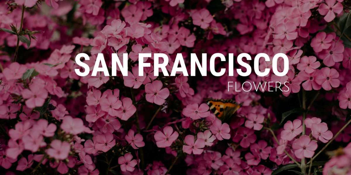 Unveiling the Petal Power: A Journey Through San Francisco Flowers