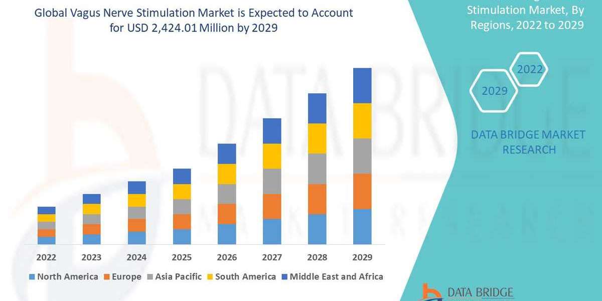 Vagus Nerve Stimulation Market Identifying Growth Opportunities: Segmentation, Competitor Analysis, and Key Drivers