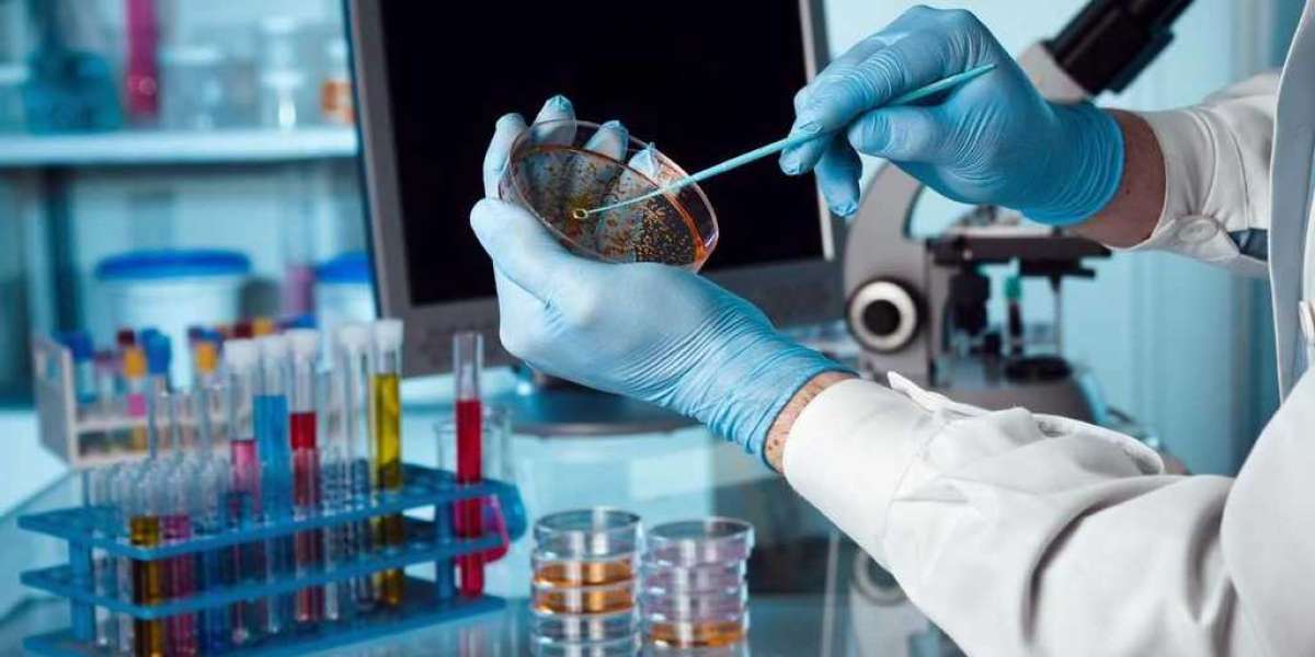 Microbiology Testing Market Size, Share Analysis, Key Companies, and Forecast To 2030