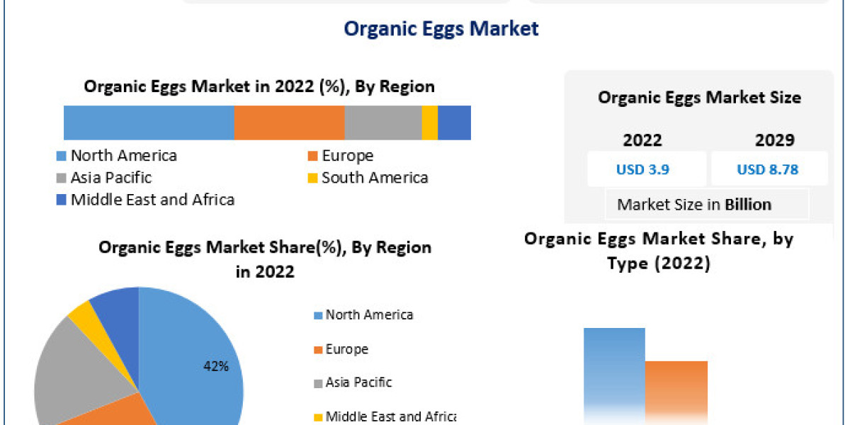 Organic Eggs Market Future Growth, Competitive Analysis and Forecast 2029