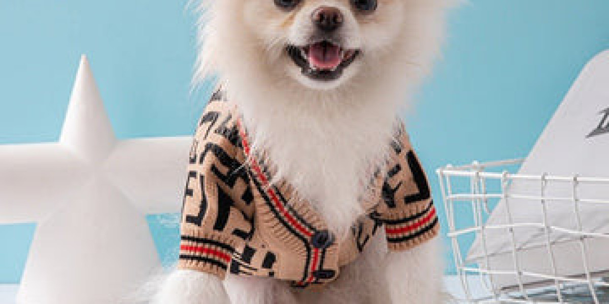 Get Your Pets Ready with Fashionable Pet Clothes - PIKAPIKA