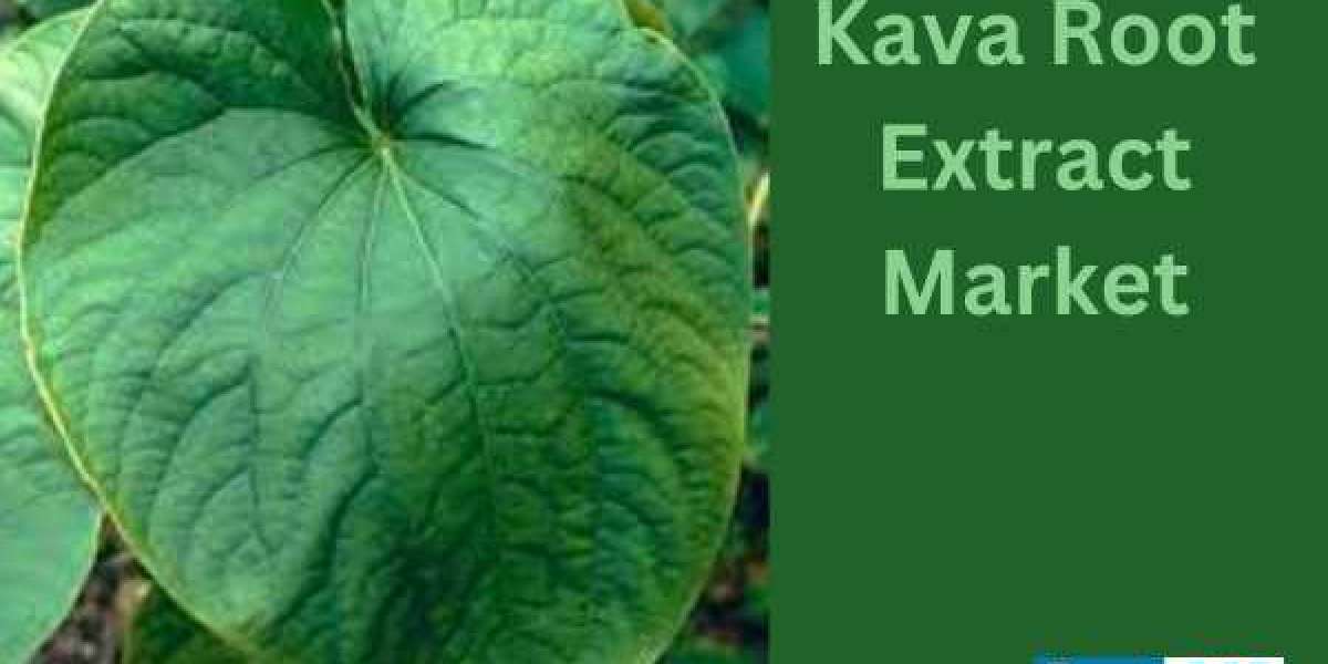 Kava Root Extract Market Set to Reach US$ 614.2 Million by 2034: Growing Demand for Natural Remedies