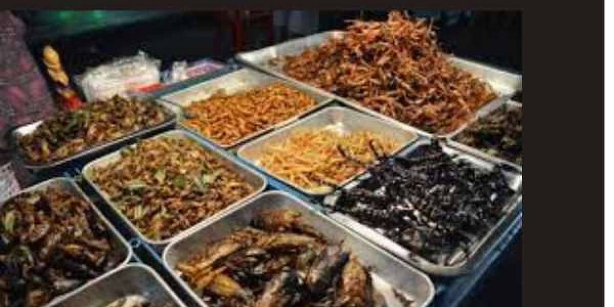 Edible Insects for Human Consumption Market to Reach US$1.1 Billion by 2034 as Sustainable Protein Source Gains Traction