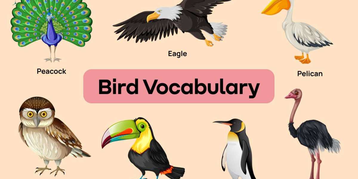 The Fascinating World of Avian Animal Communication
