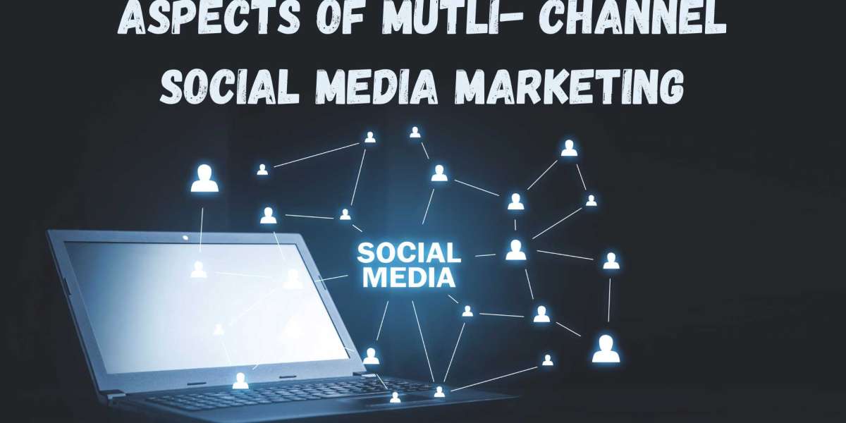 Aspects of Mutli- Channel Social Media Marketing