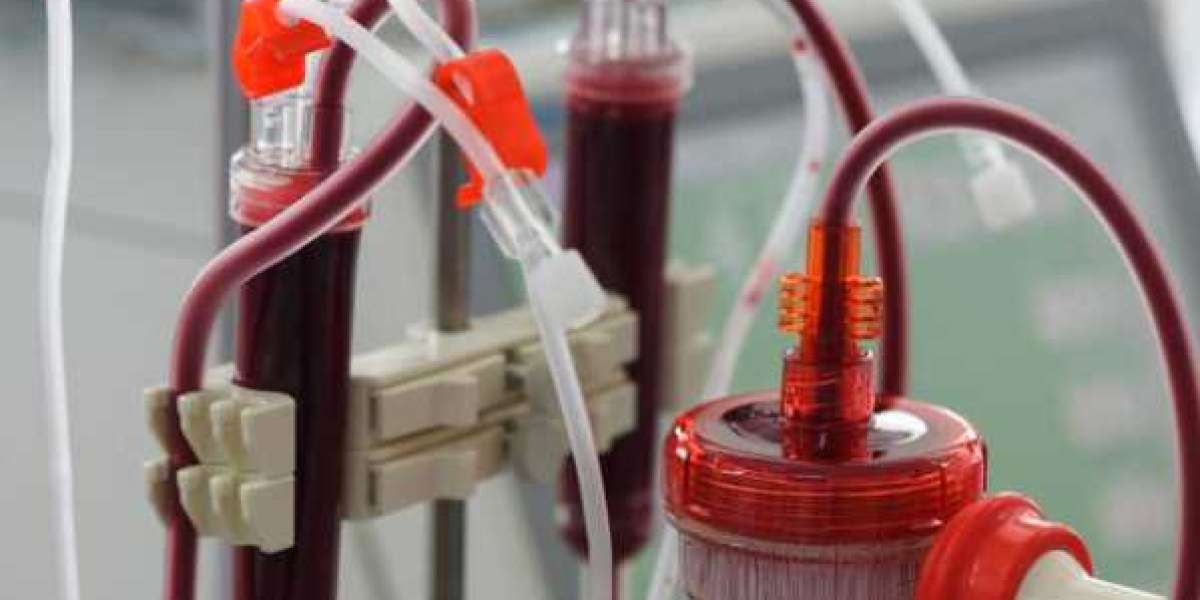 Blood Filter Market Size, Share, Growth, Analysis Forecast to 2028