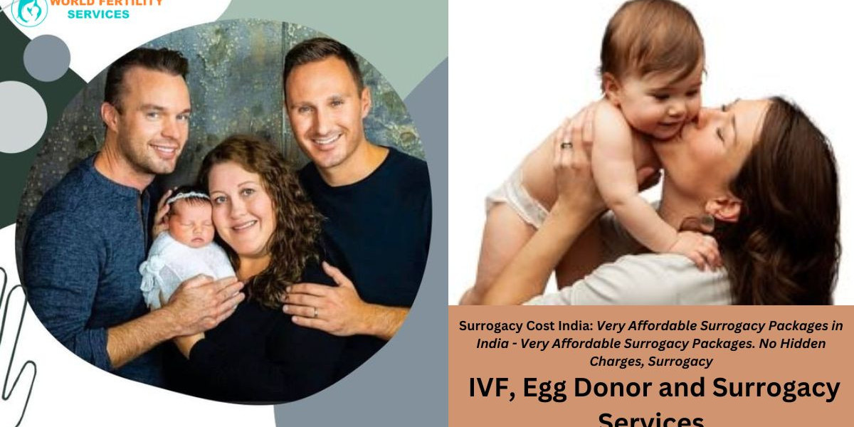 The Total Surrogacy Cost in Chennai | Exploring Low-Cost Surrogate Mother in Chennai