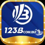 123b combiz