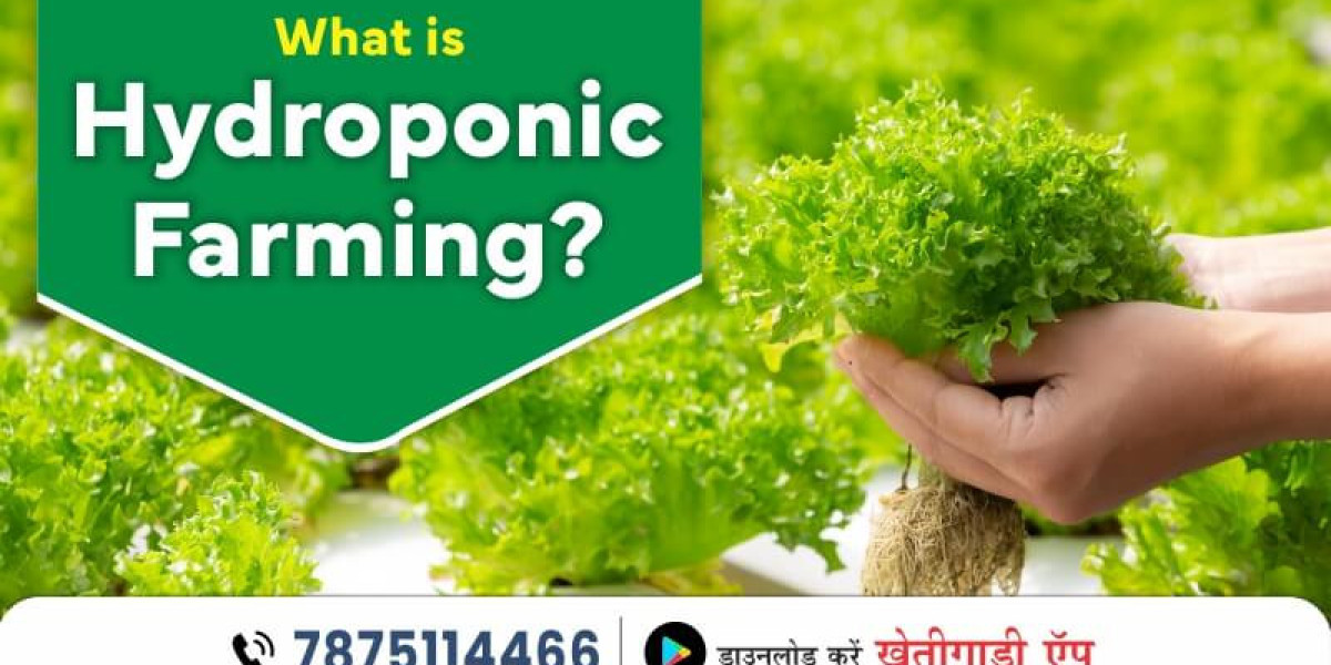 Advantages and Catalysts of Hydroponic Farming in India