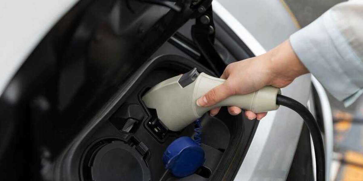 Vehicle Plastic Fuel Tank Systems Market: Navigating the Road to Sustainability and Efficiency