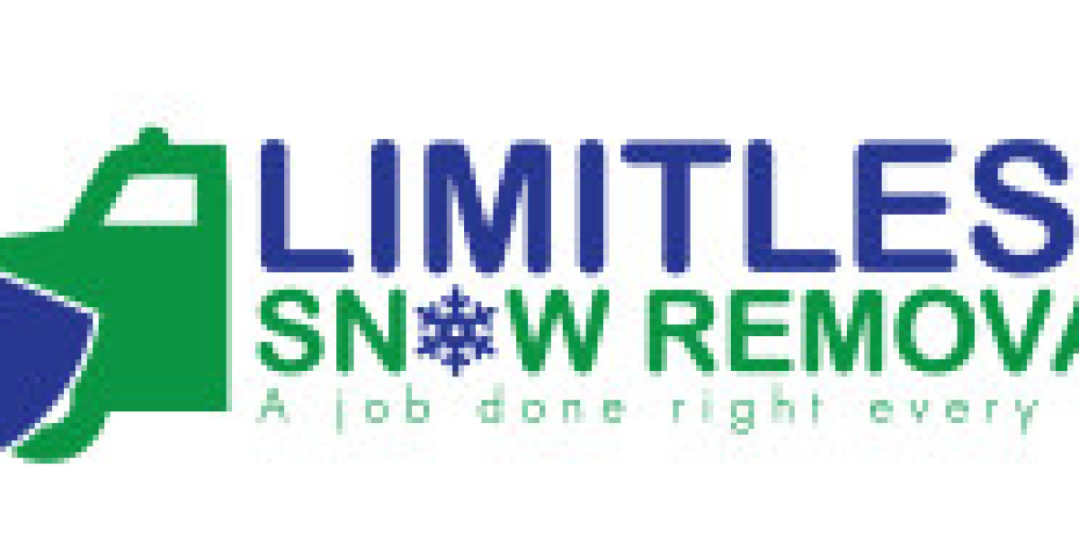 Unveiling the Importance of Professional Snow Removal Services
