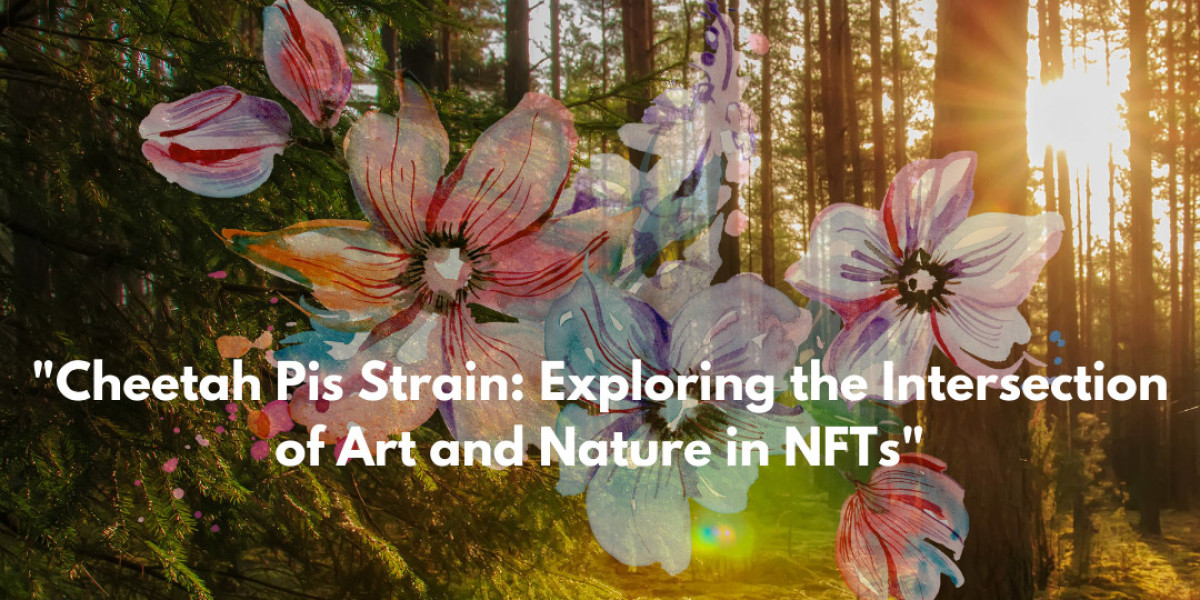 Cheetah Pis Strain: Exploring the Intersection of Art and Nature in NFTs