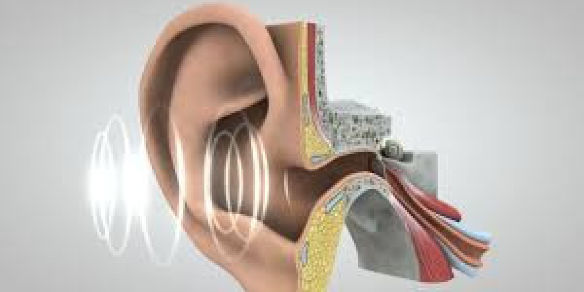 Neurological Harmony: How Your Brain Processes Sound Signals from Ear Cells