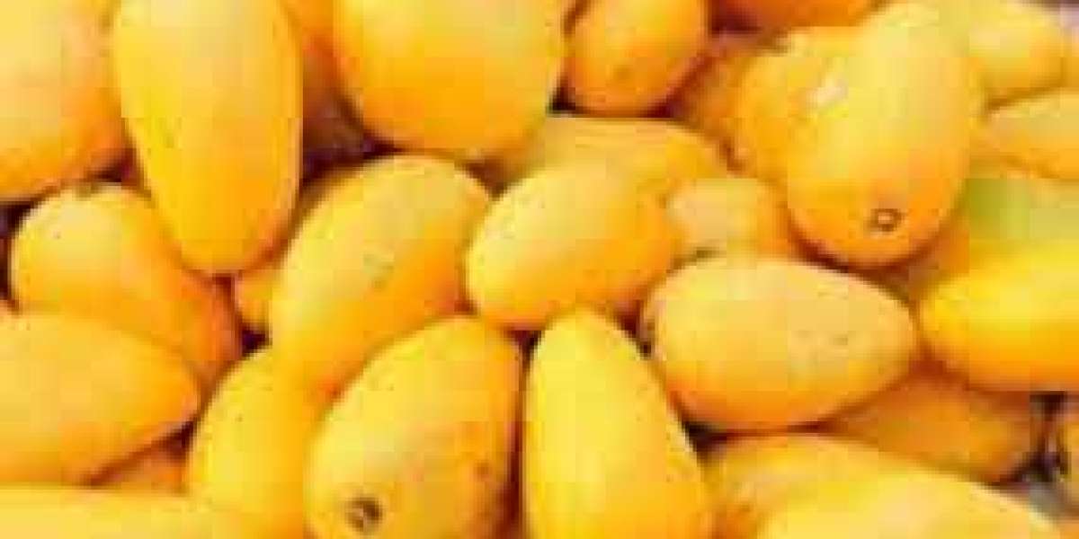 The Pride of Pakistan: How Mangoes Boost the Country's Economy