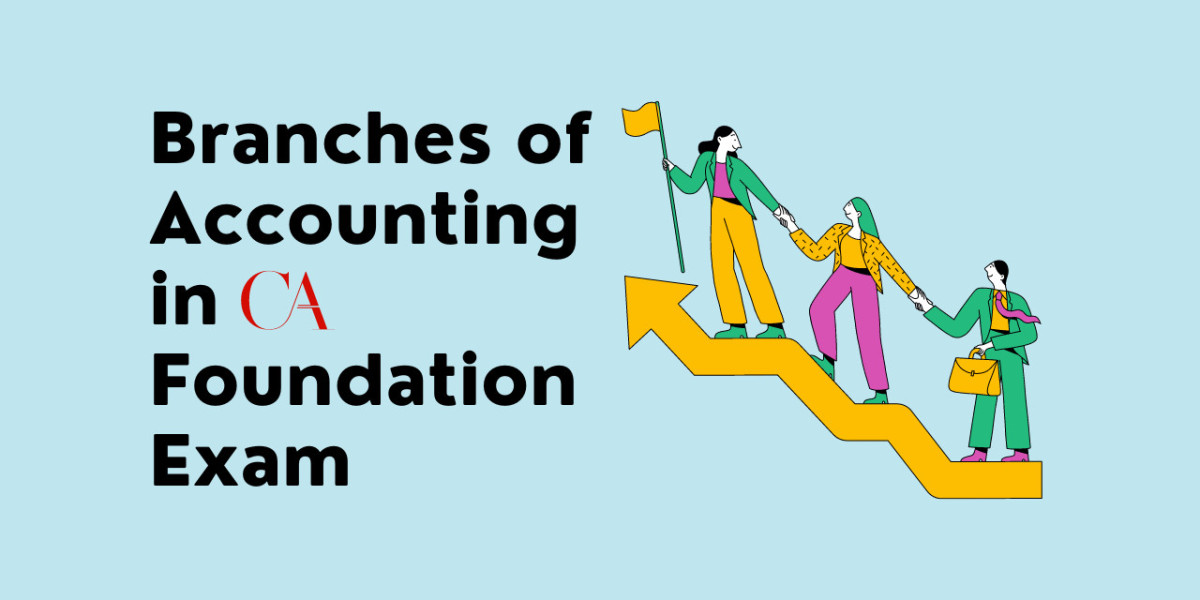 Branches of Accounting in CA Foundation Exam