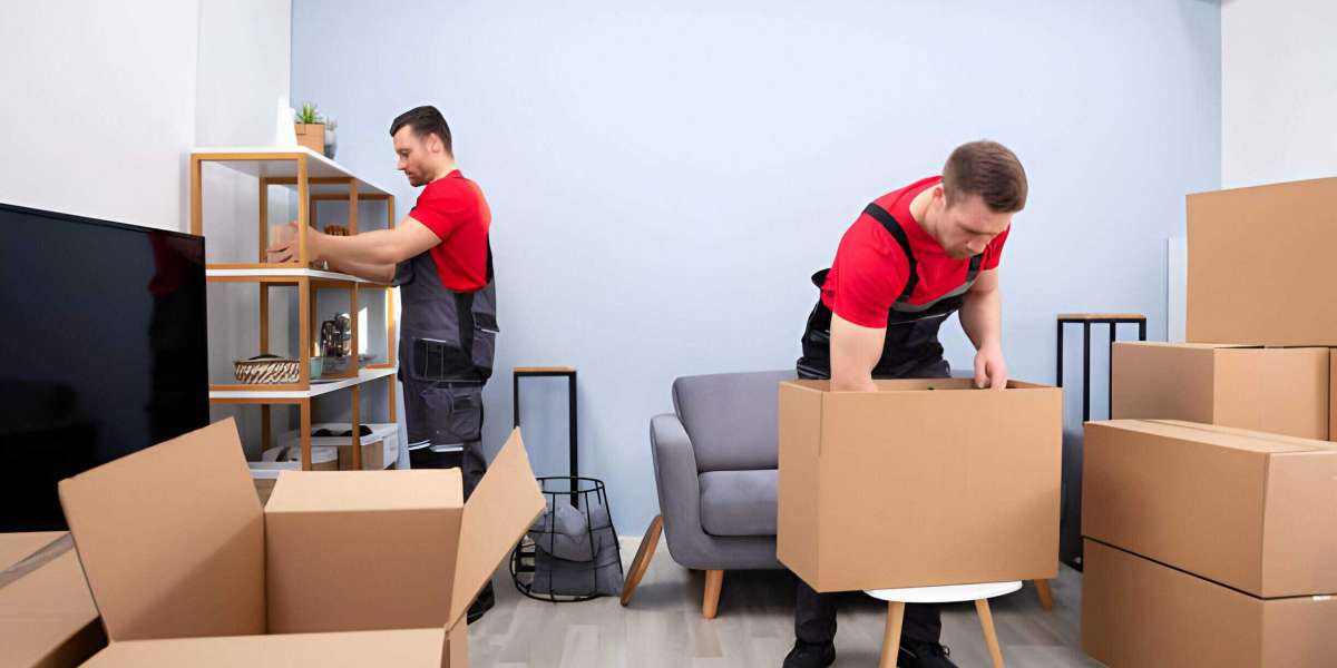 Why Choose the Best Removals Brisbane for Your House Removals in Brisbane?