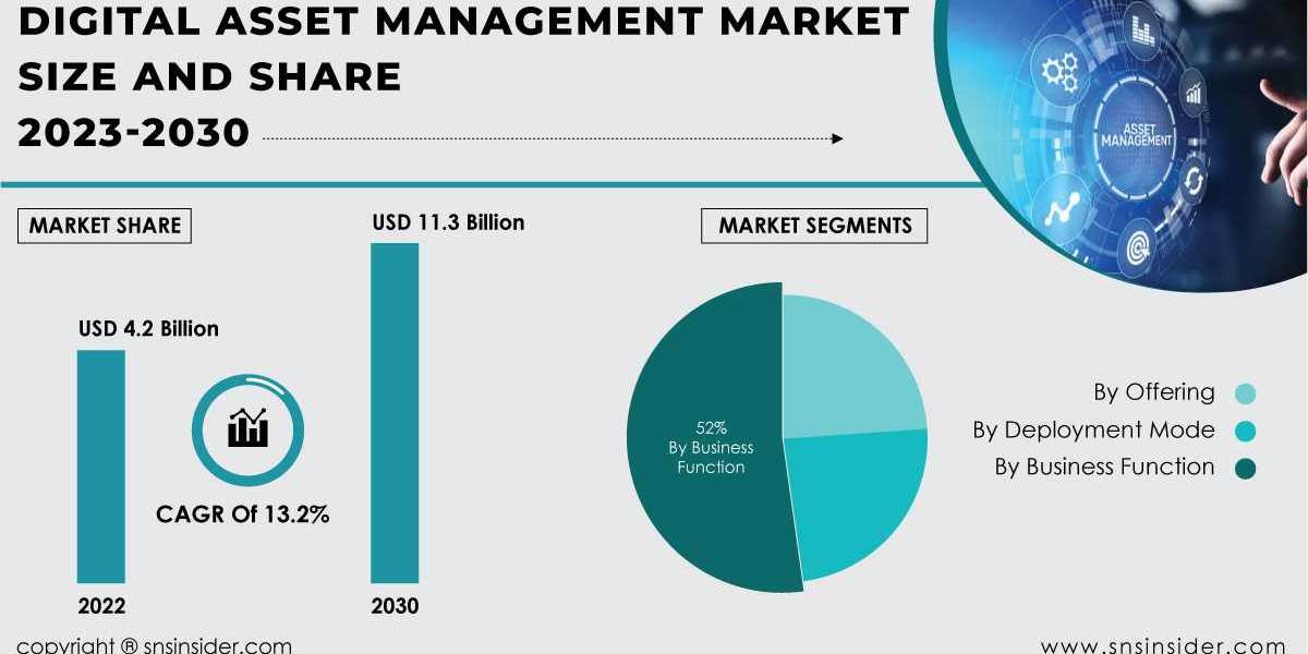Digital Asset Management Market Size and Share Analysis | Industry Perspective