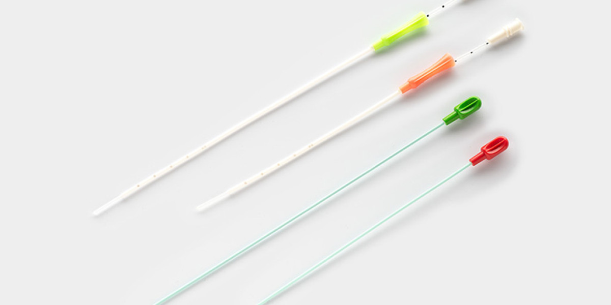 Embryo Transfer Catheters Market Latest Rising Trend and Forecast by 2031