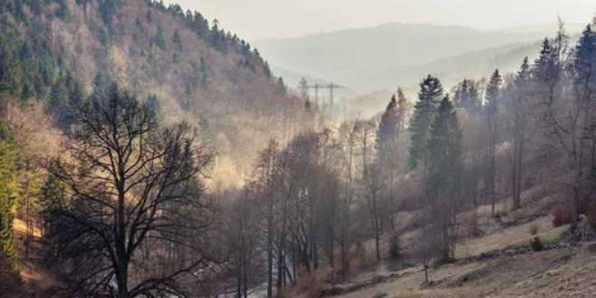 Tranquility On the list of Peaks: Rejuvenating in the Bieszczady Hills