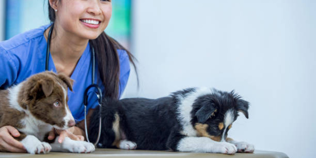 Meet the Experts: Profiles of Perth Vet Specialists' Veterinary Team