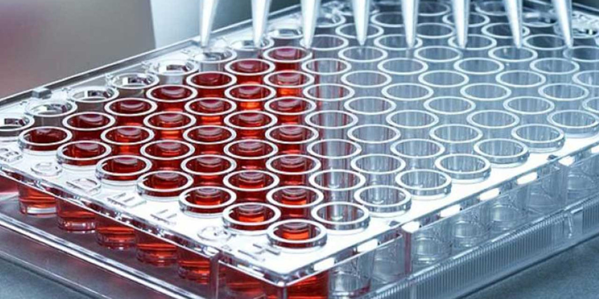 Microplate Systems Market Challenges, Trend, Segmentation and Forecast to 2031