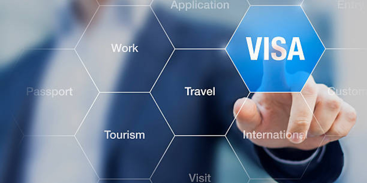 How are Visa Services Processed in Delhi?