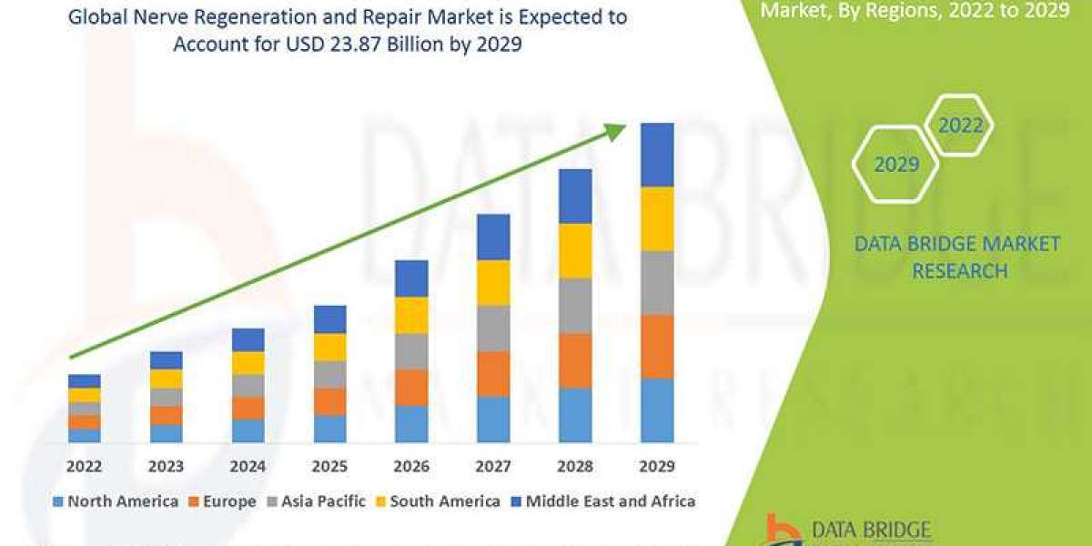 Nerve Regeneration and Repair Market Uncovering Future Trends: Insight, Quality Analysis, and Sustainable Growth Strateg