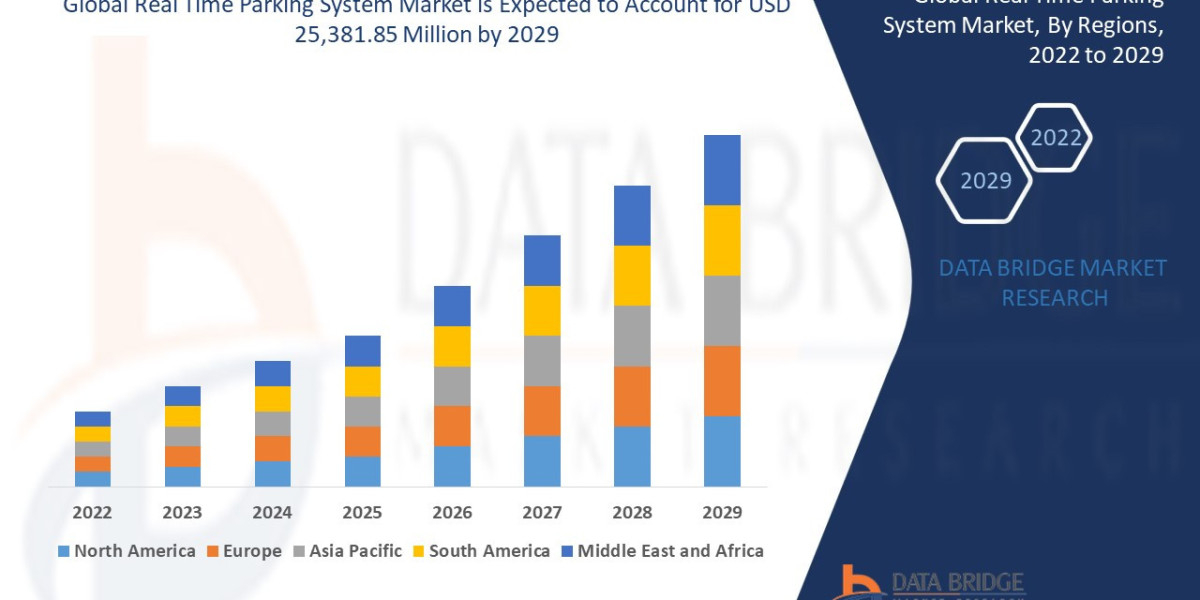 Real Time Parking System Market Size, Share, Trends, Growth Opportunities and Competitive Outlook 2029