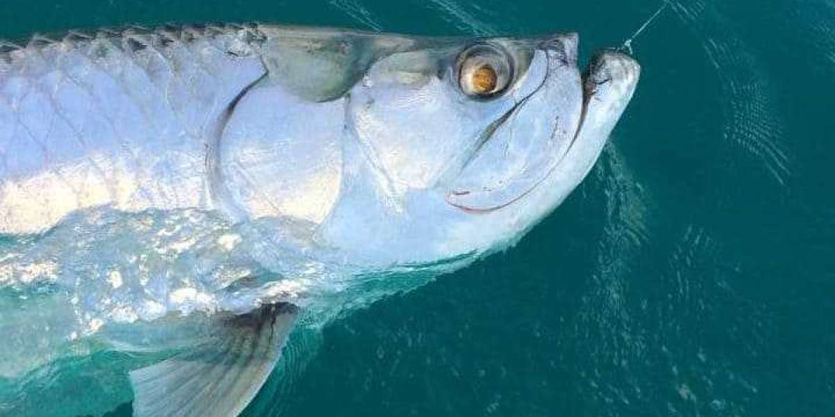 Premier Fishing Charters Key West