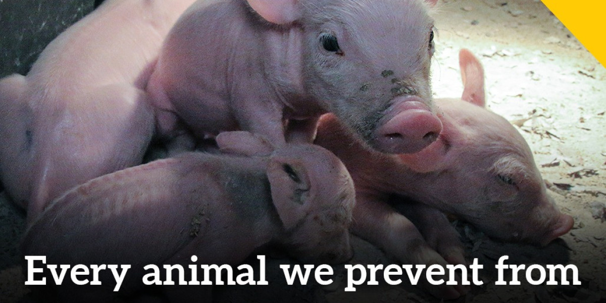 Unveiling the Horrors: Animal Cruelty in Factory Farms