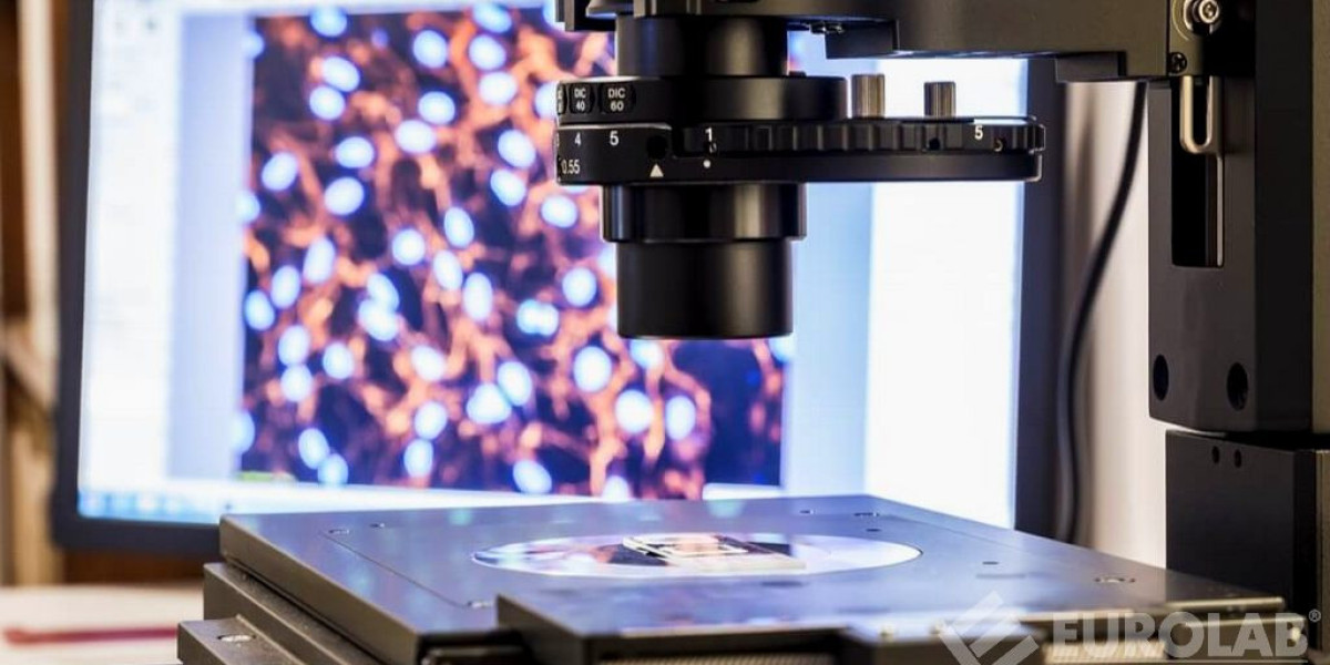 Atomic Force Microscope Market: Unveiling Insights into Nanoscale Exploration