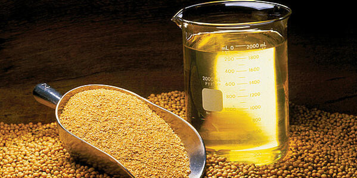 Non GMO Soybean Oil Market Size to Reach USD 3.2 Billion by 2033