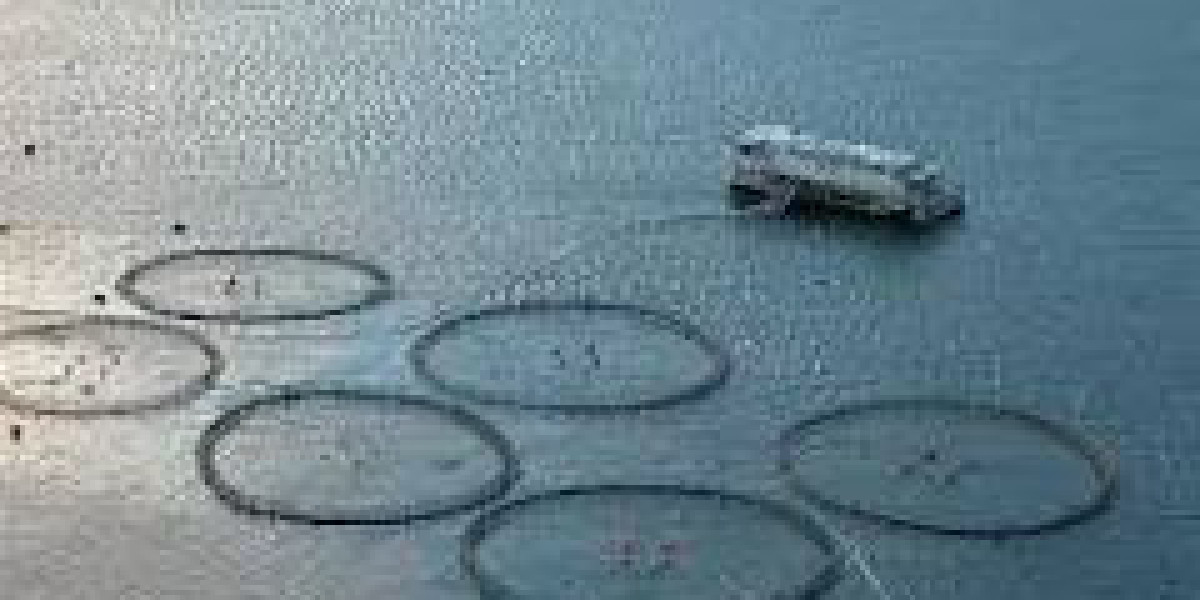 Aquaculture Market Dynamics: Size, Share, and Trends Overview (Forecast 2024-2030)