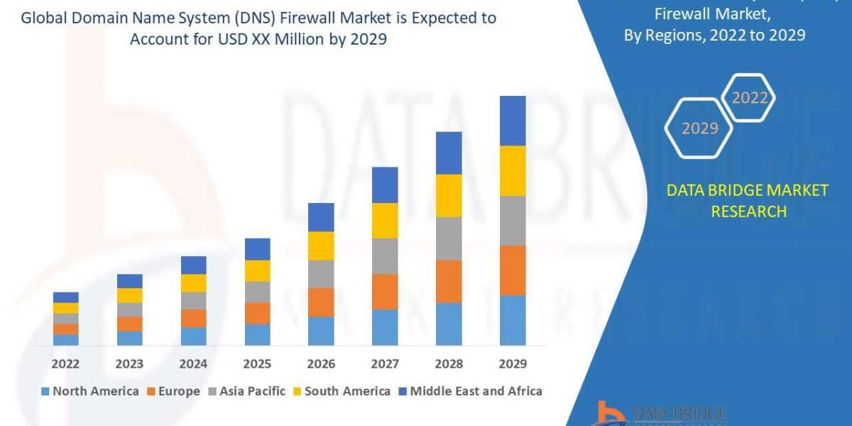 Domain Name System (DNS) Firewall Market Opportunities and Forecast By 2029