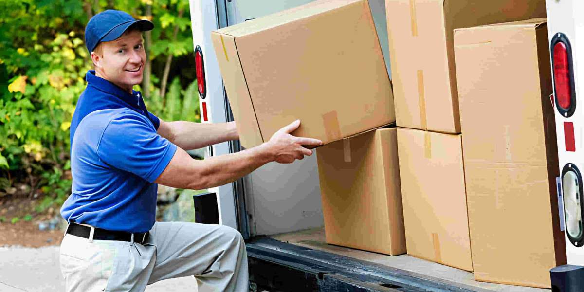 Why Should You Consider Team Removals House Movers in New Zealand?