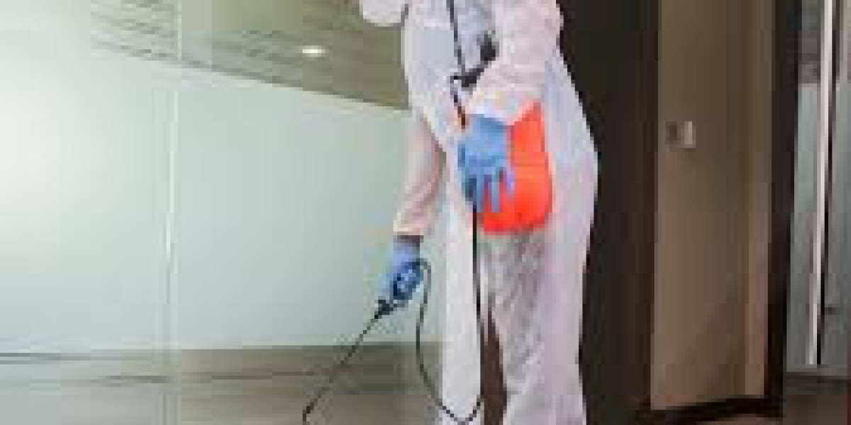 Elevating Standards: The Impact of professional cleaning services dubai