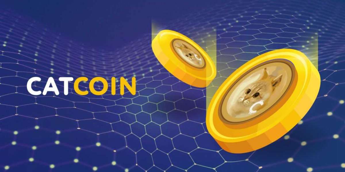 An Ultimate Guide: Top Reasons To Invest In Catcoin