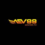 AEV999