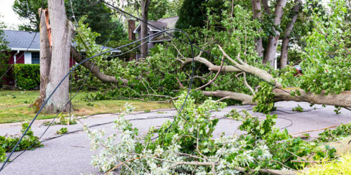 How Should Storm Damage Cleanup Be Handled?
