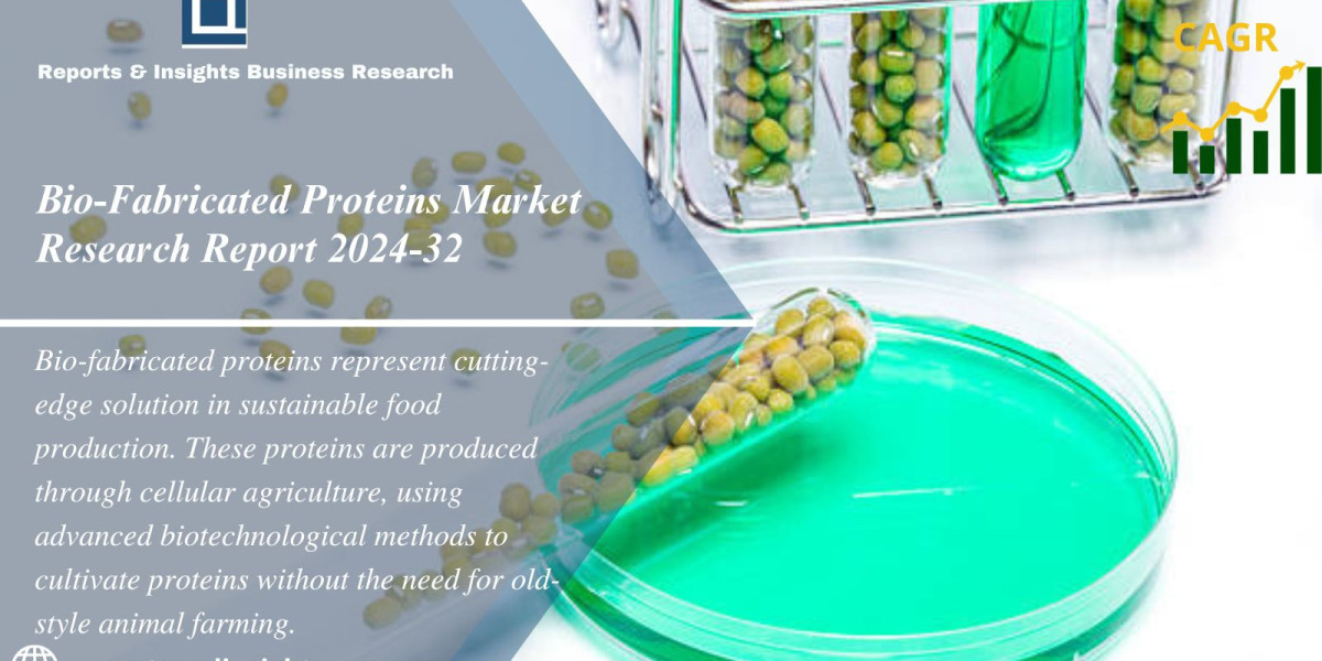 Bio-Fabricated Proteins Market Size, Share | Industry Overview 2024-32