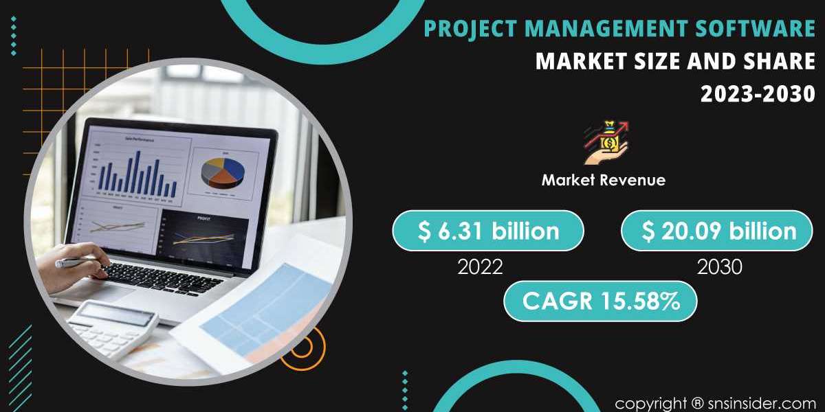 Project Management Software Market Growth Trends | Predictions for 2030